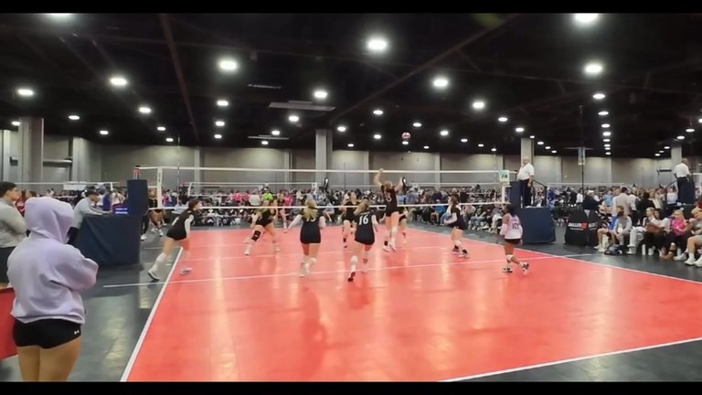 Addison Hansen's Volleyball Recruiting Profile | FieldLevel
