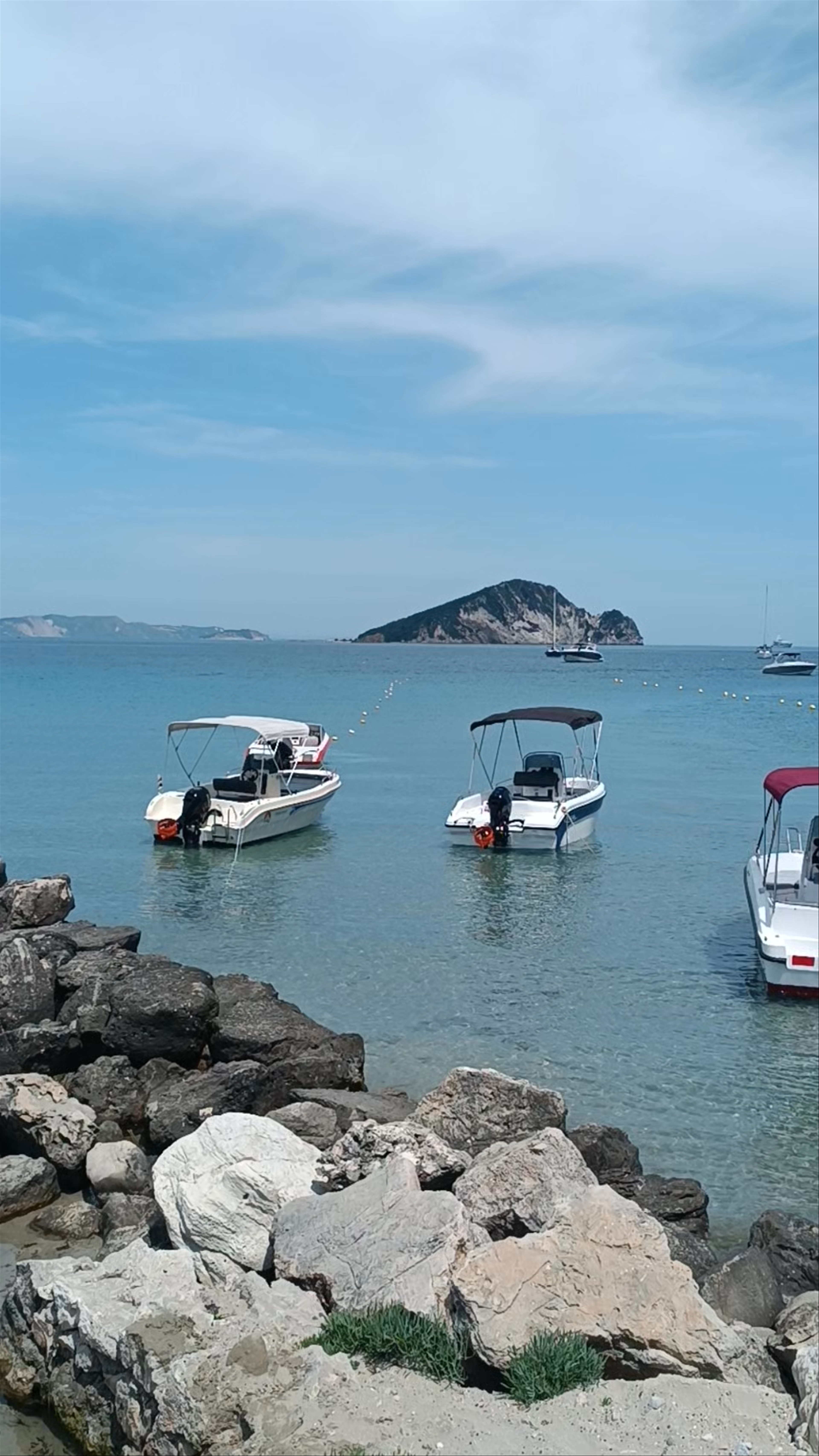 Dolphin Boat Rentals