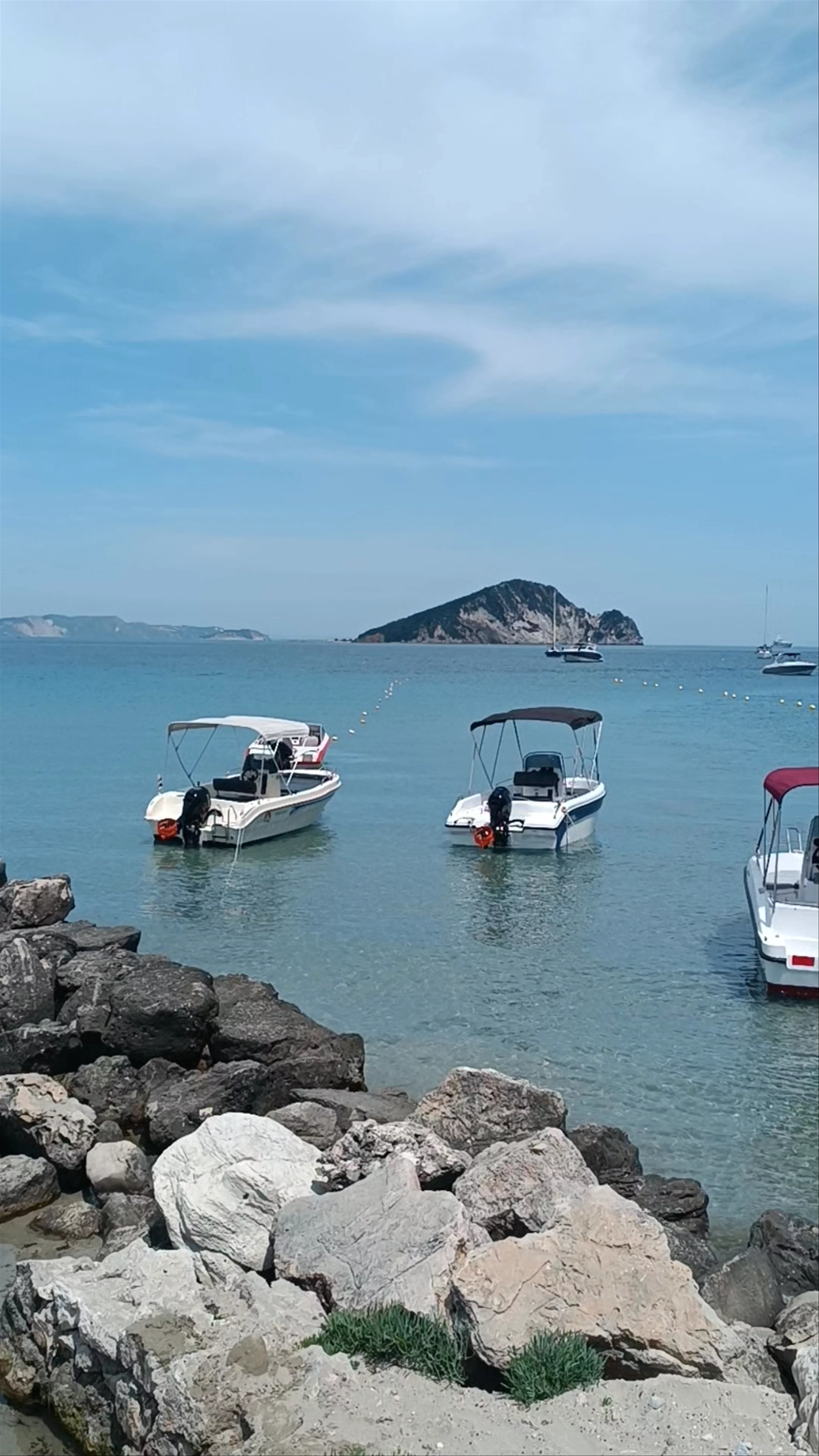 Dolphin Boat Rentals