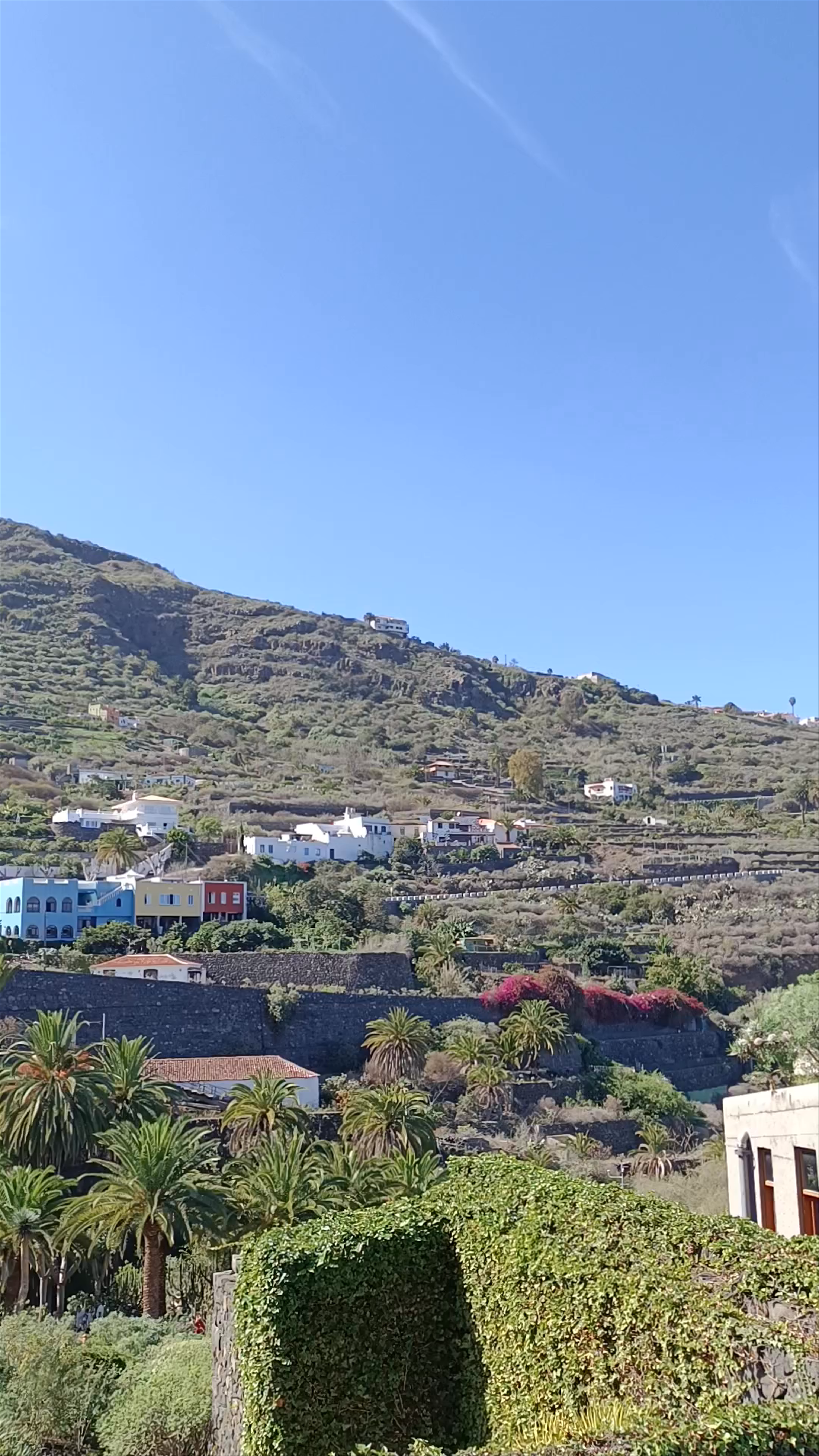 DRAGO MILENARIO (D.I.R.)