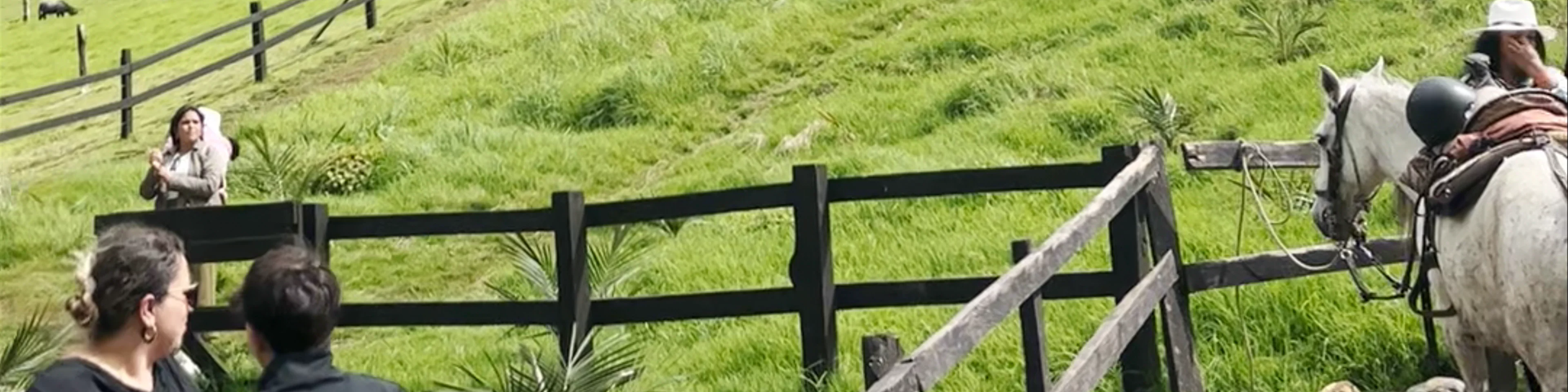 Valle del Cocora