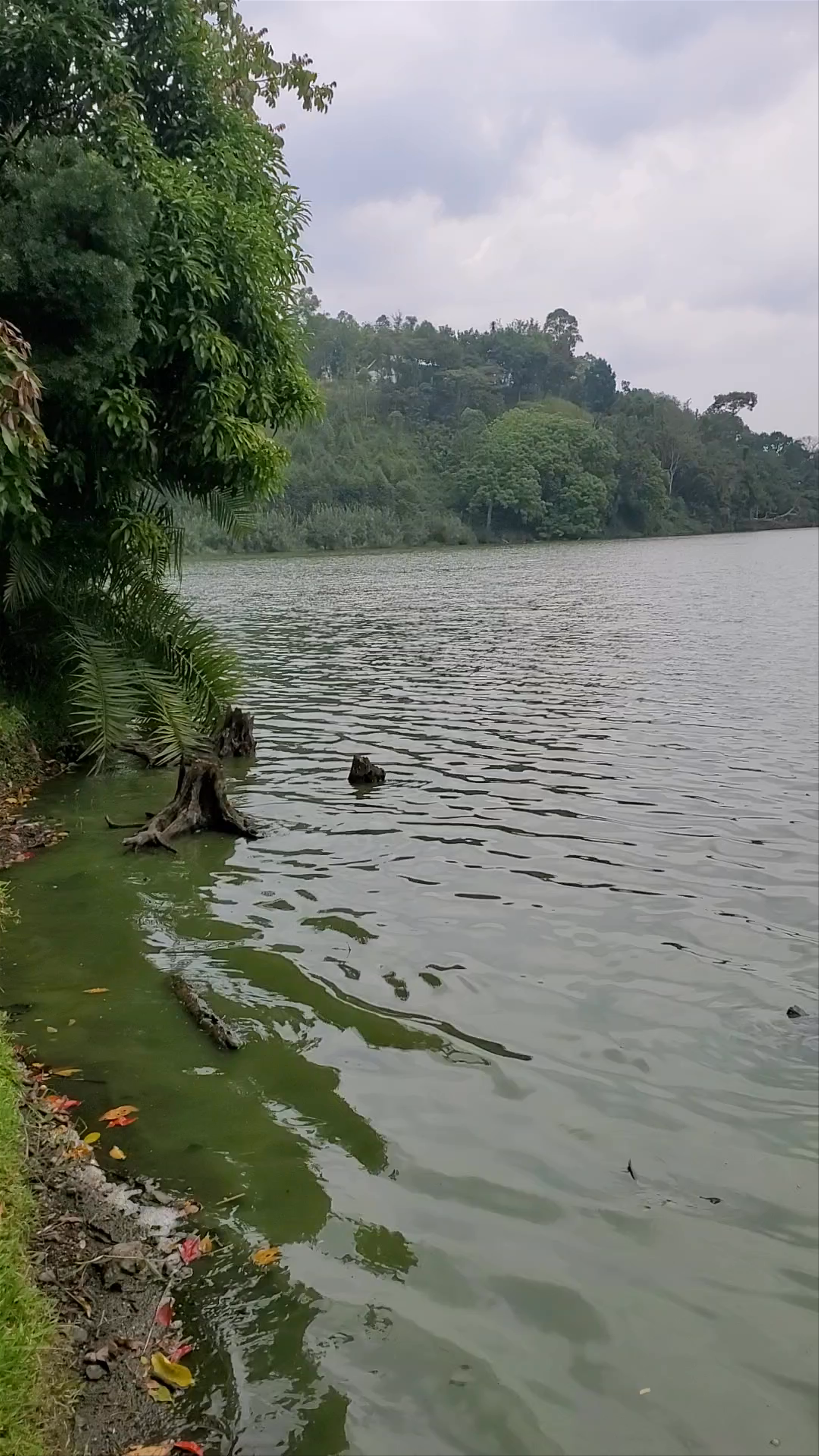 Serene Lakeside Moments at Kibale National Park, Uganda