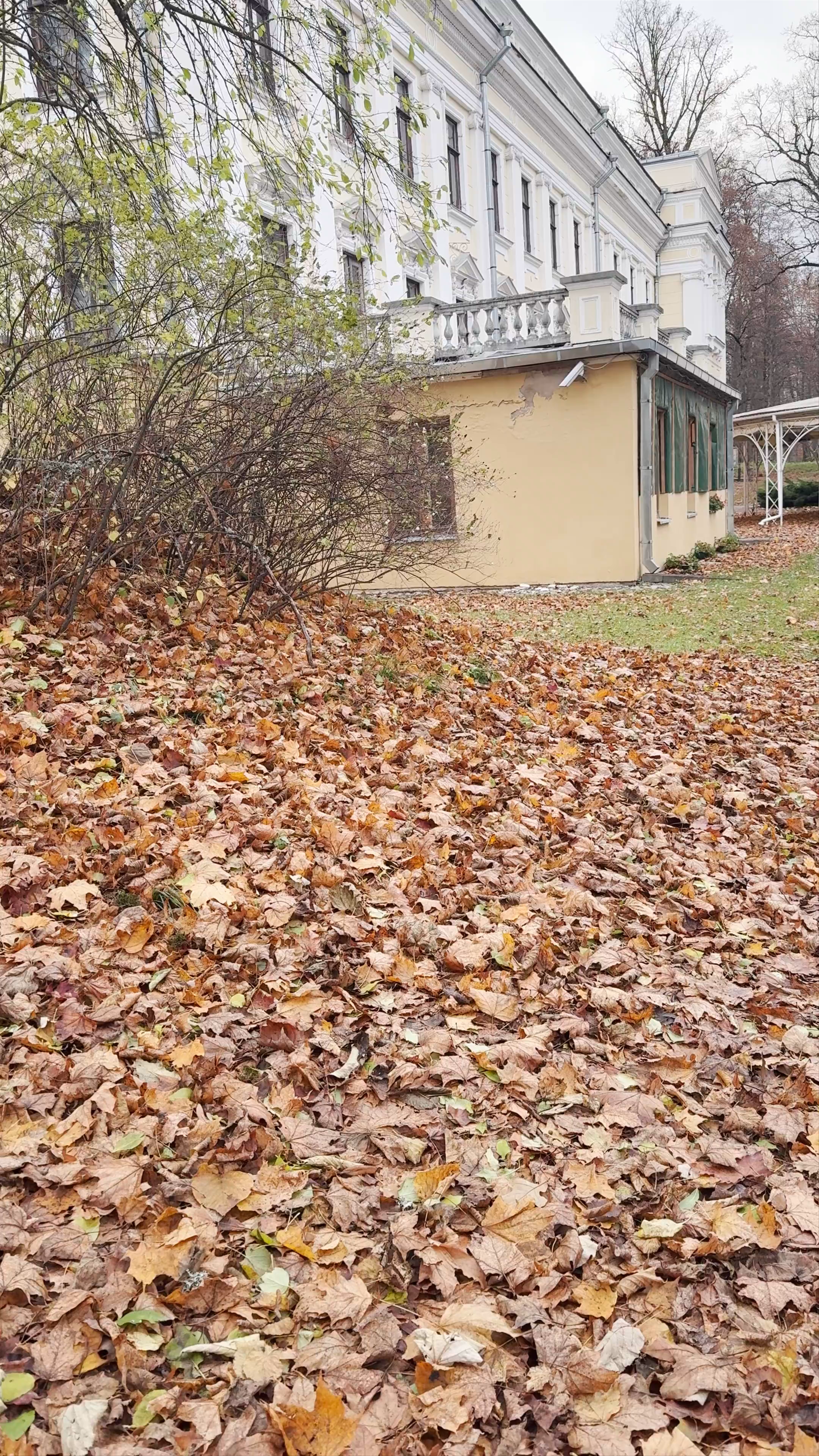 Вяркяйский дворец