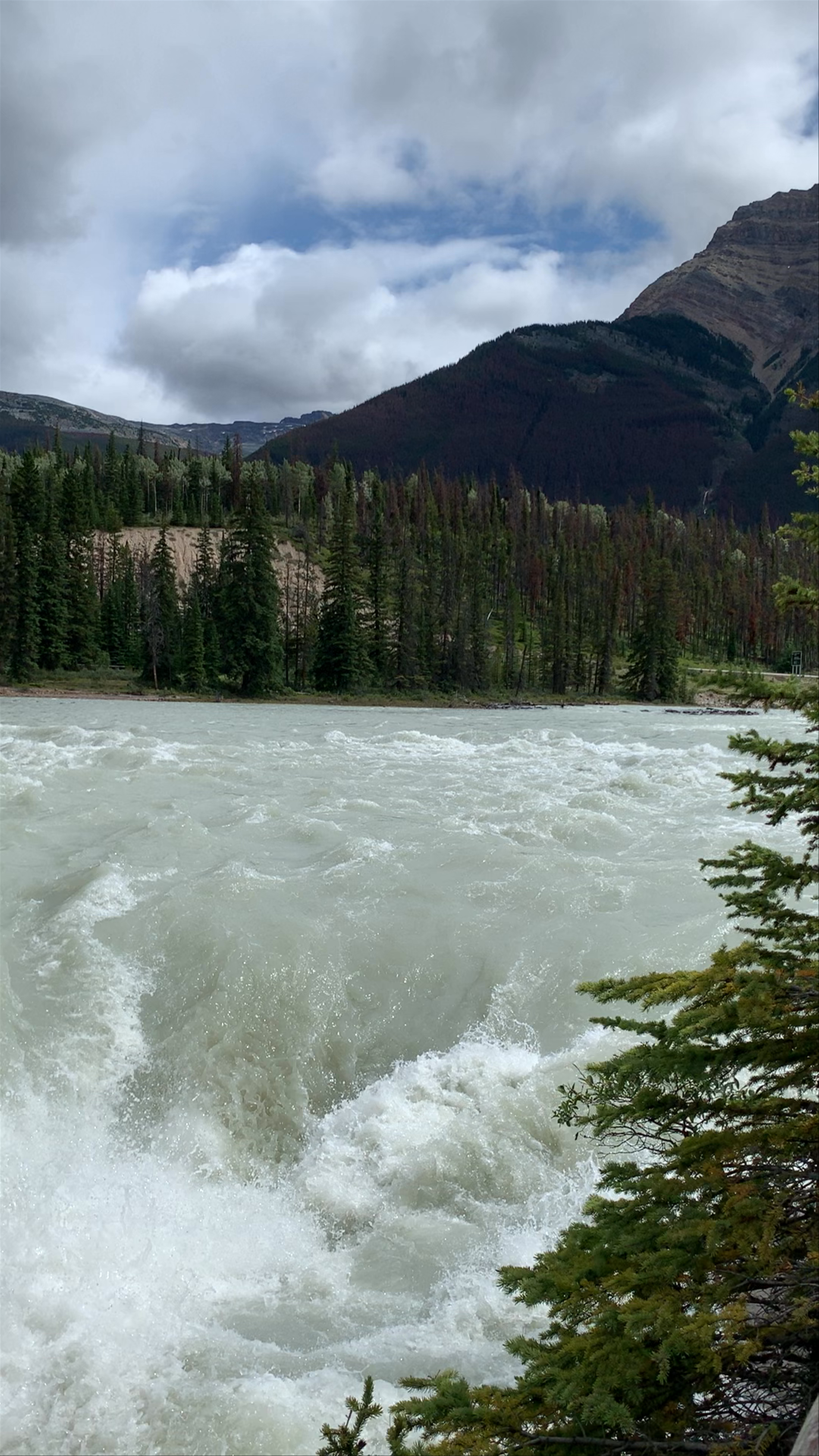 Athabasca Falls: Majestic Power of Jasper’s Iconic Waterfall