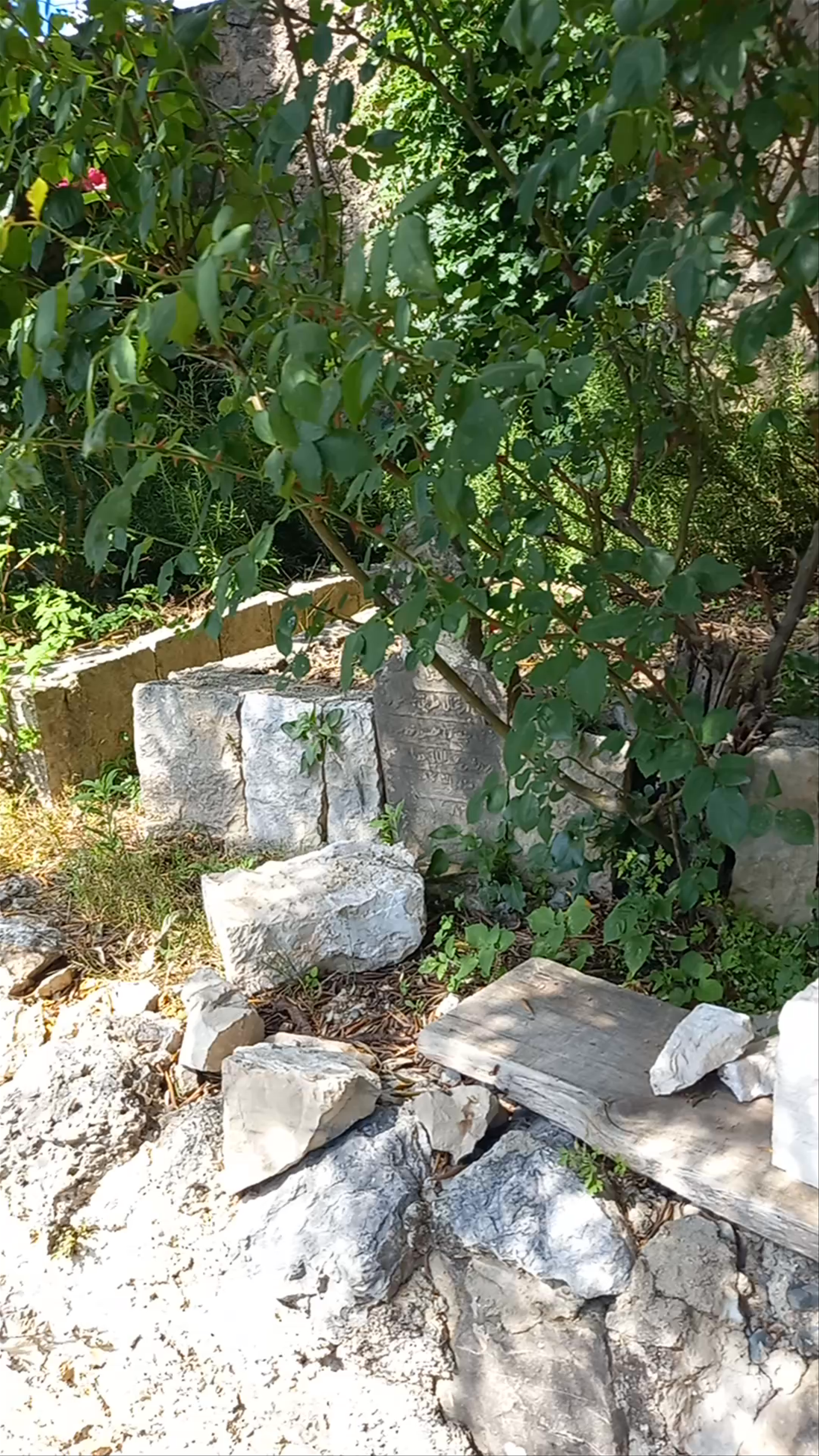 Santuario de Hajji Mustafa Baba