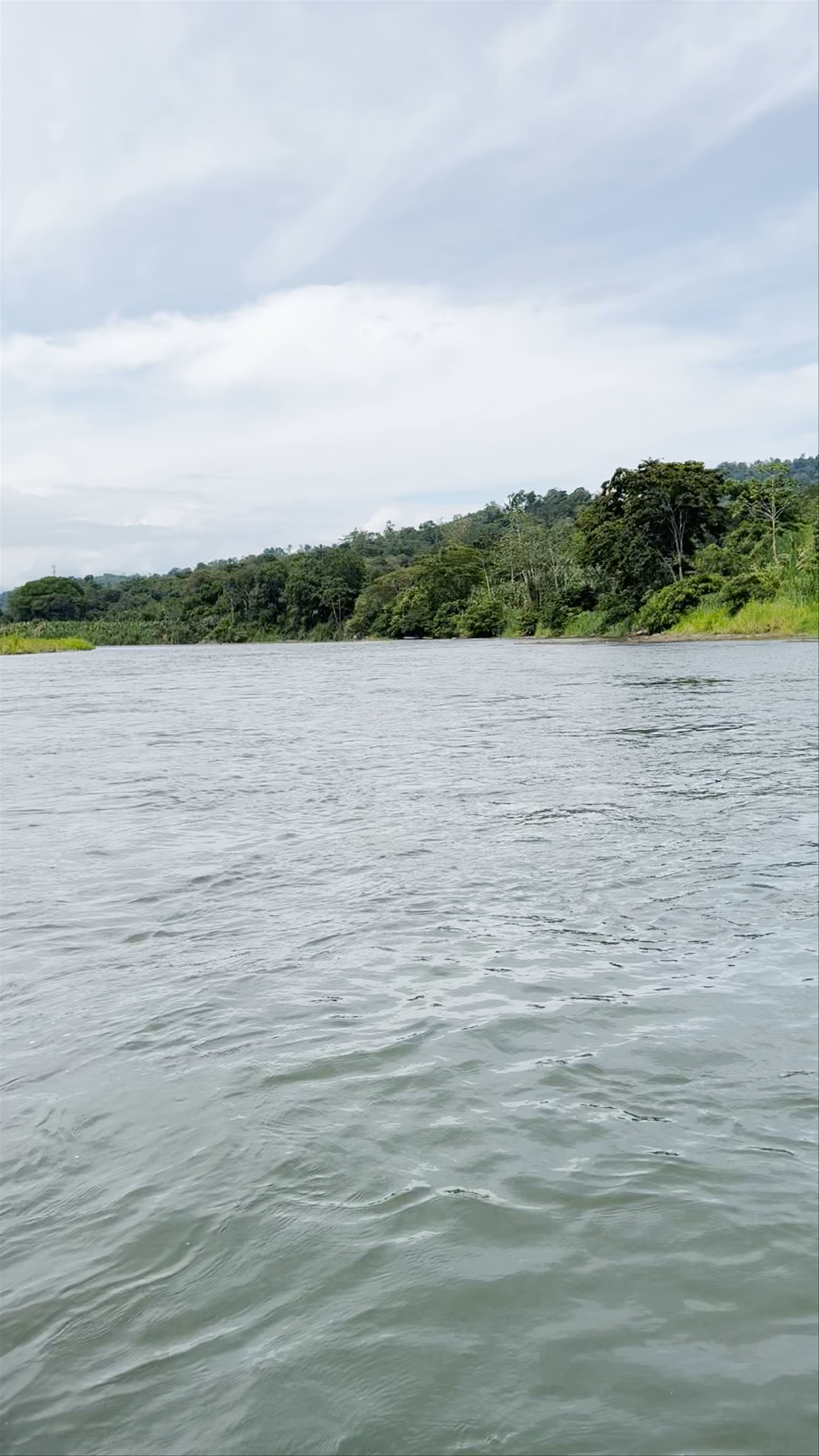 Sixaola River