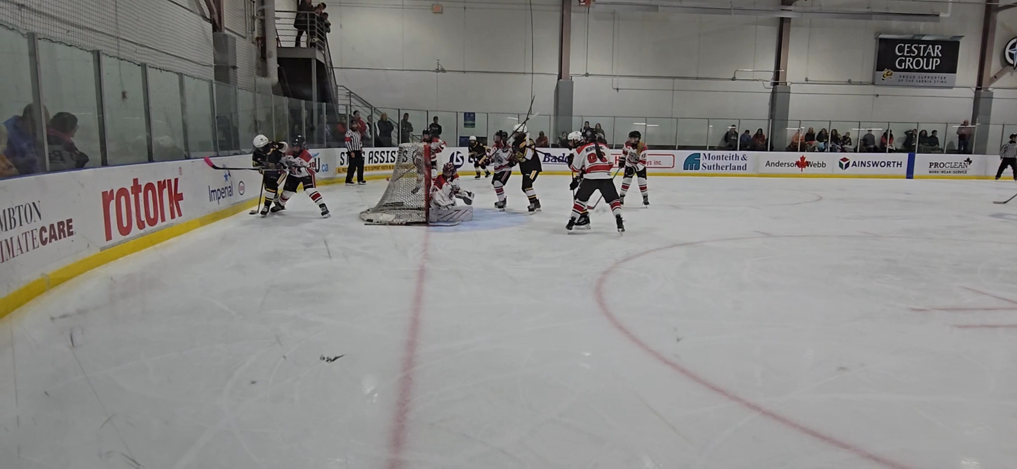 Ellee Truong's Impressive Empty Net Goal & Defensive Mastery