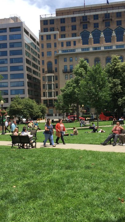 Farragut Square Park - Beautiful day at the park - Parks Near Me - Washington, DC, District of Columbia