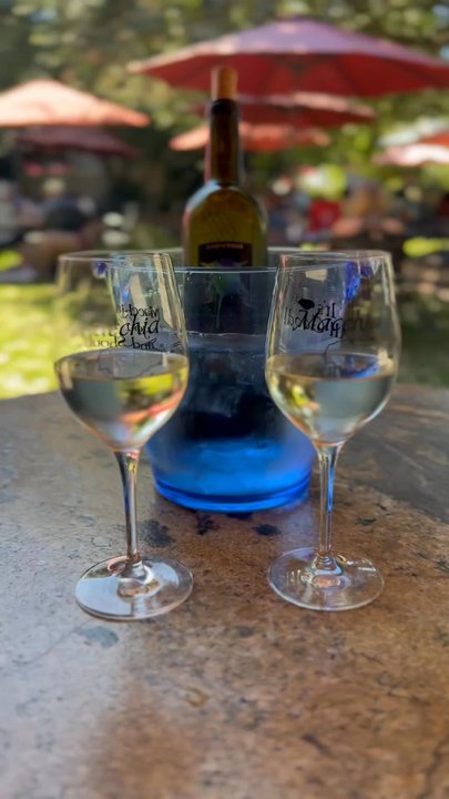 Macchia Wines - Saturday Wine and Music - Wineries Near Me - Acampo, California