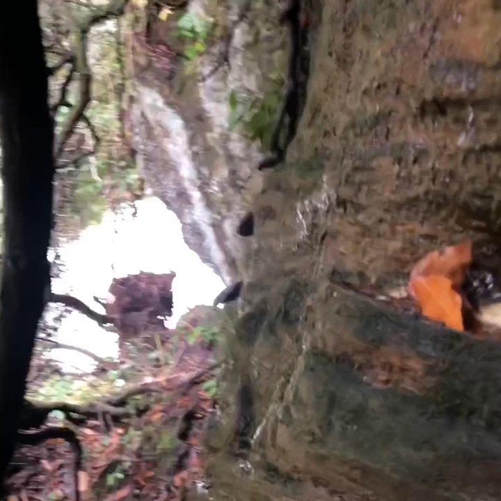 Big Bend Falls - Access is quite a bit challenging - Hiking Near Me