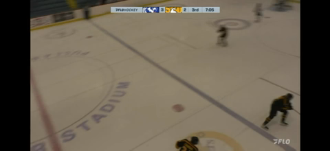 Gabriel Clark's Late-Game Wrister Ties It for Soo Eagles!