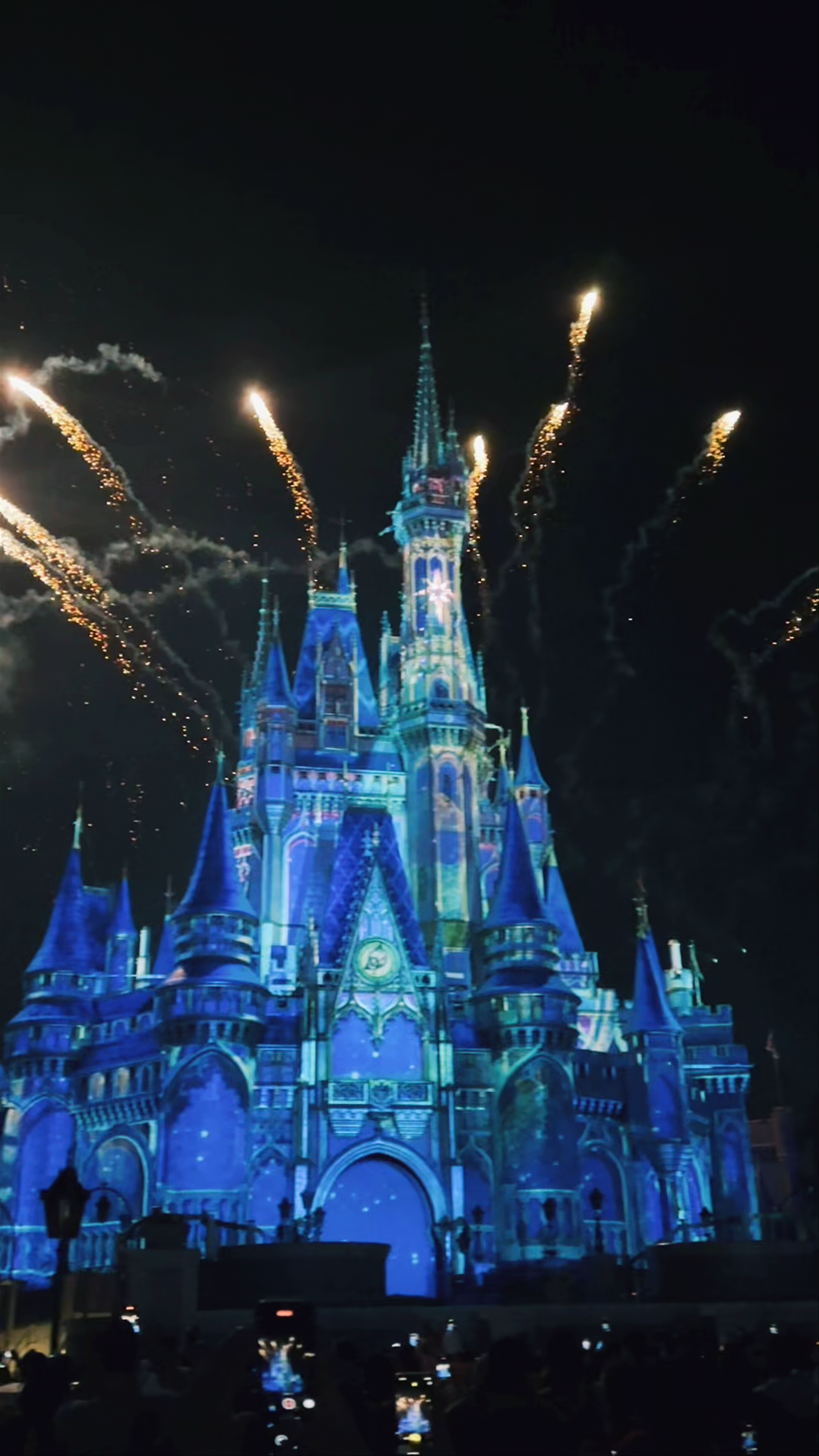Magical Night at Cinderella Castle, Walt Disney World