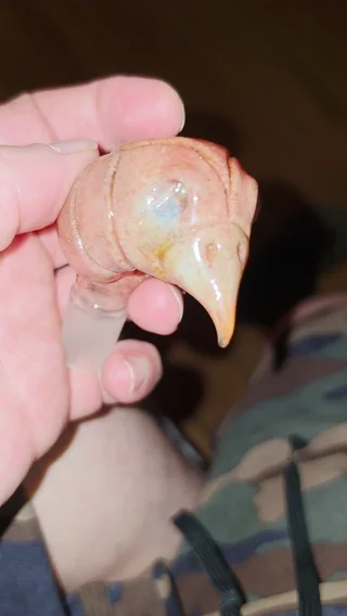 Small image 2