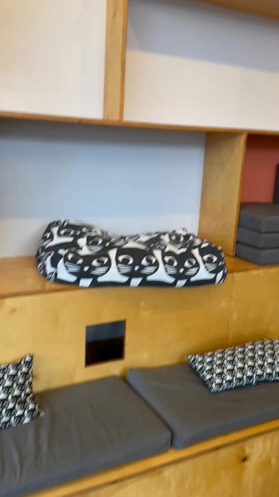 Mauhaus - Nice obstacle playground for cats - Themed Cafes Near Me - Maplewood, Missouri