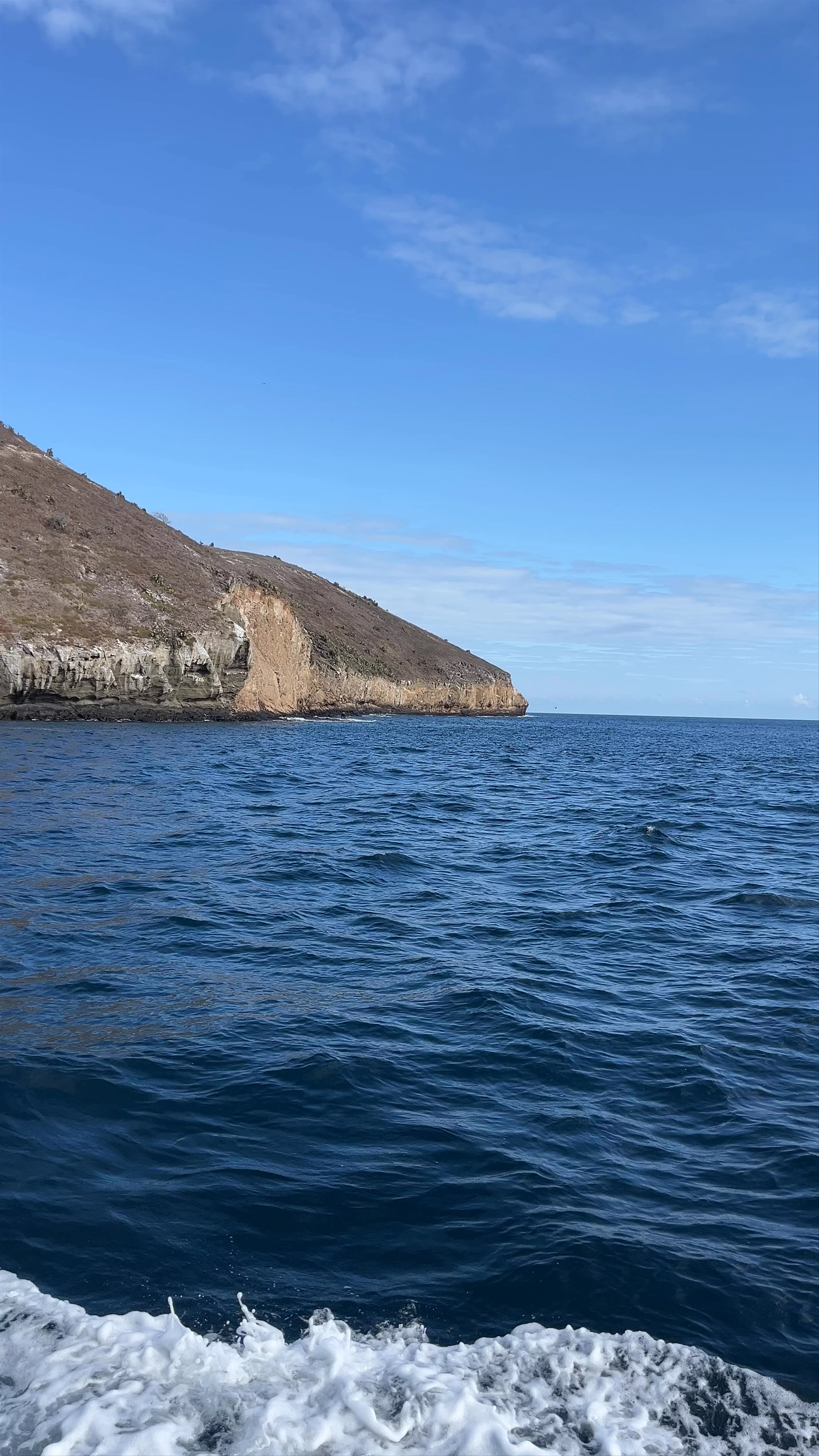 Isla Daphne Mayor