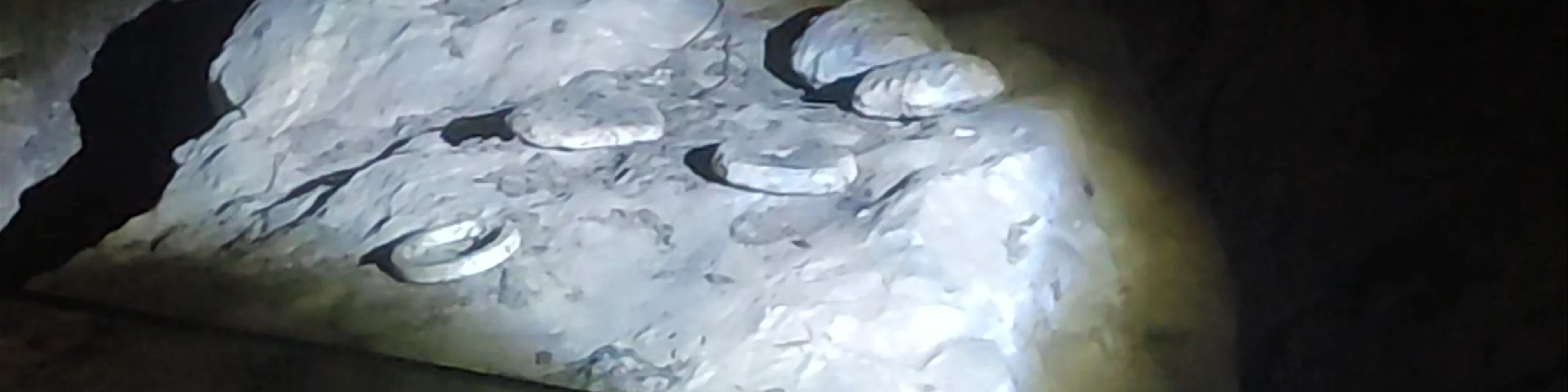 Cueva de la Serreta