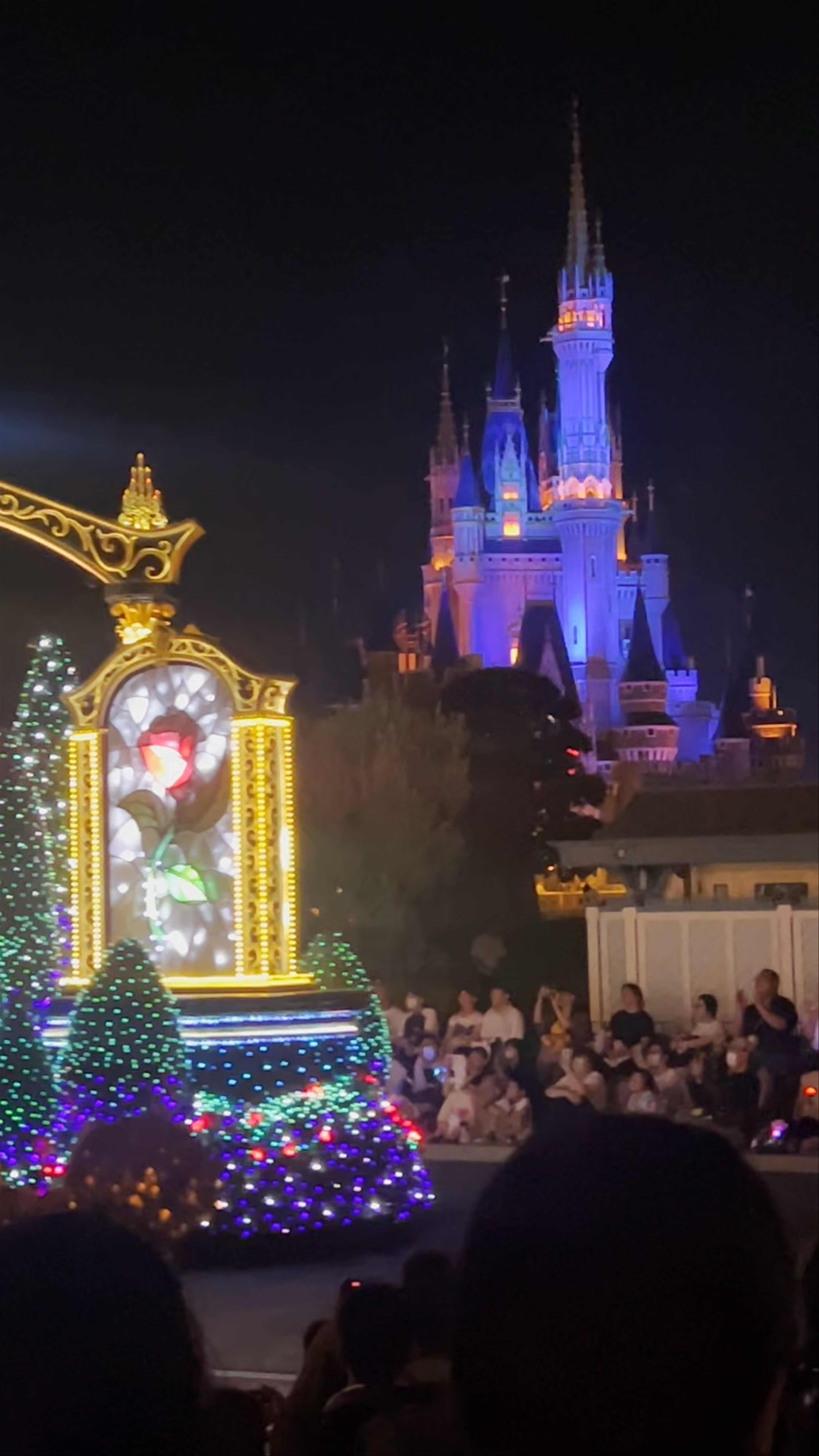 Tokyo Disneyland