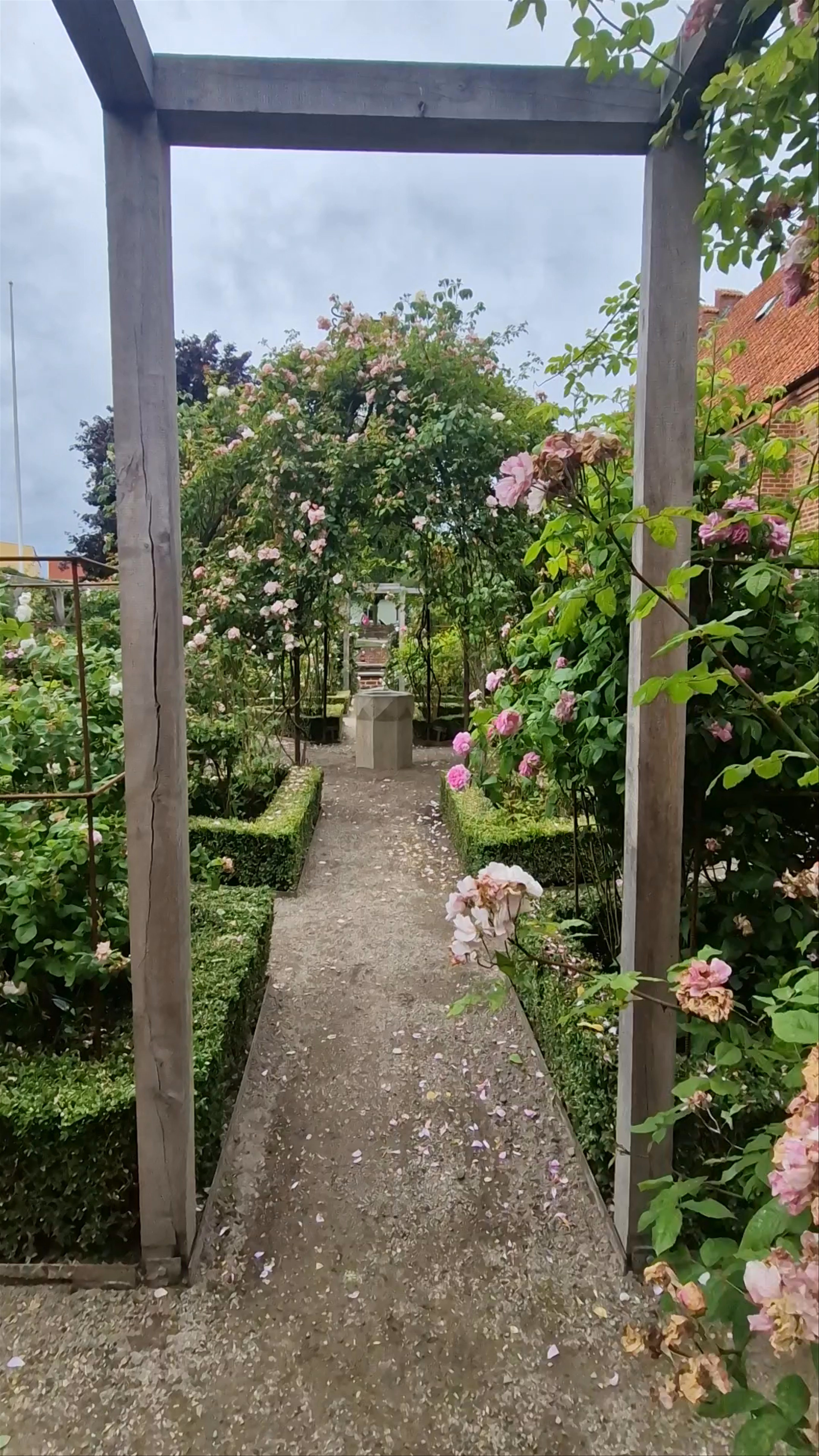 Klosterdammen Rose Garden Walk in Ystad, Sweden