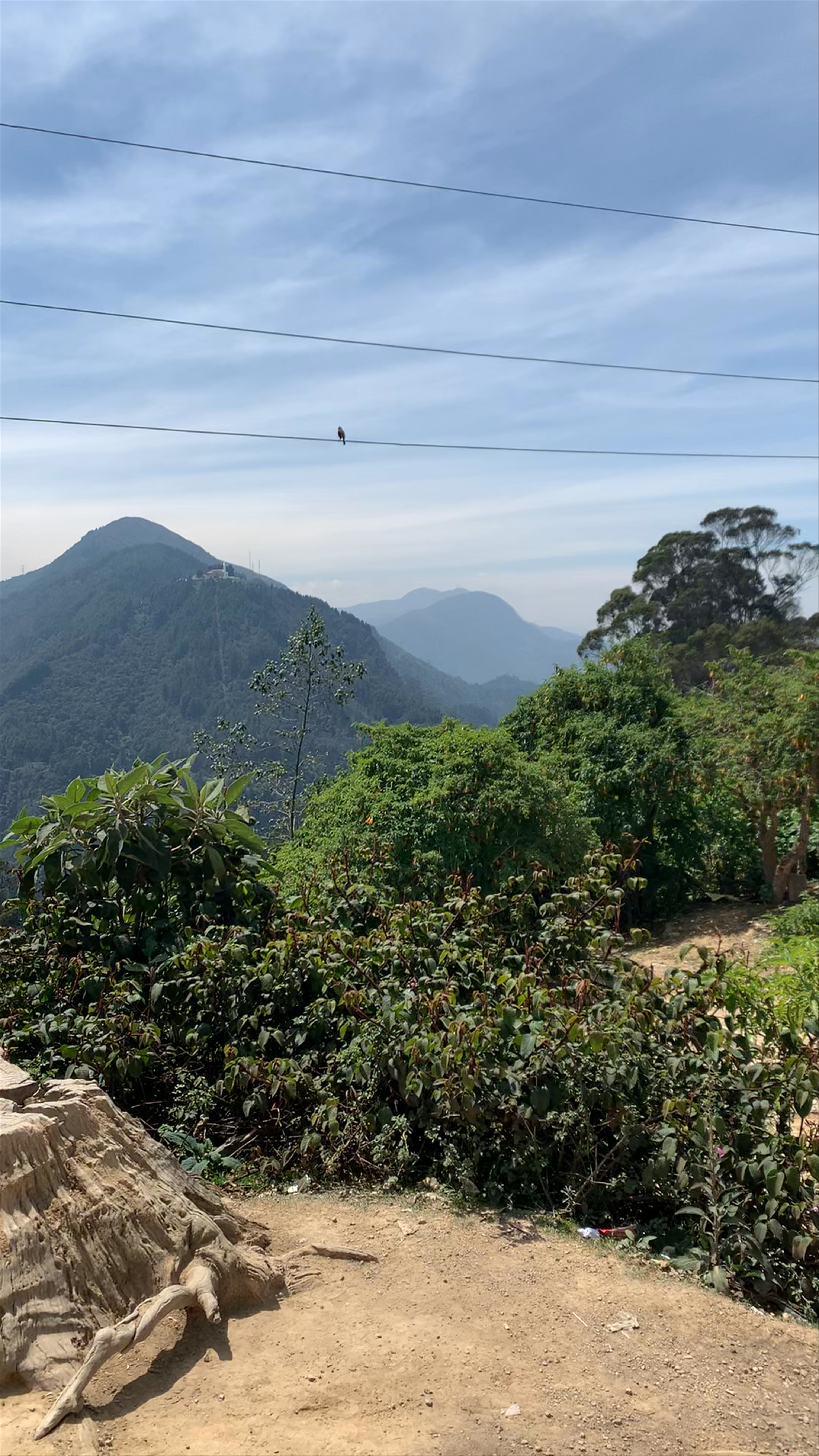 Mirador de Monserrate: Breathtaking Views and Nature in Bogotá