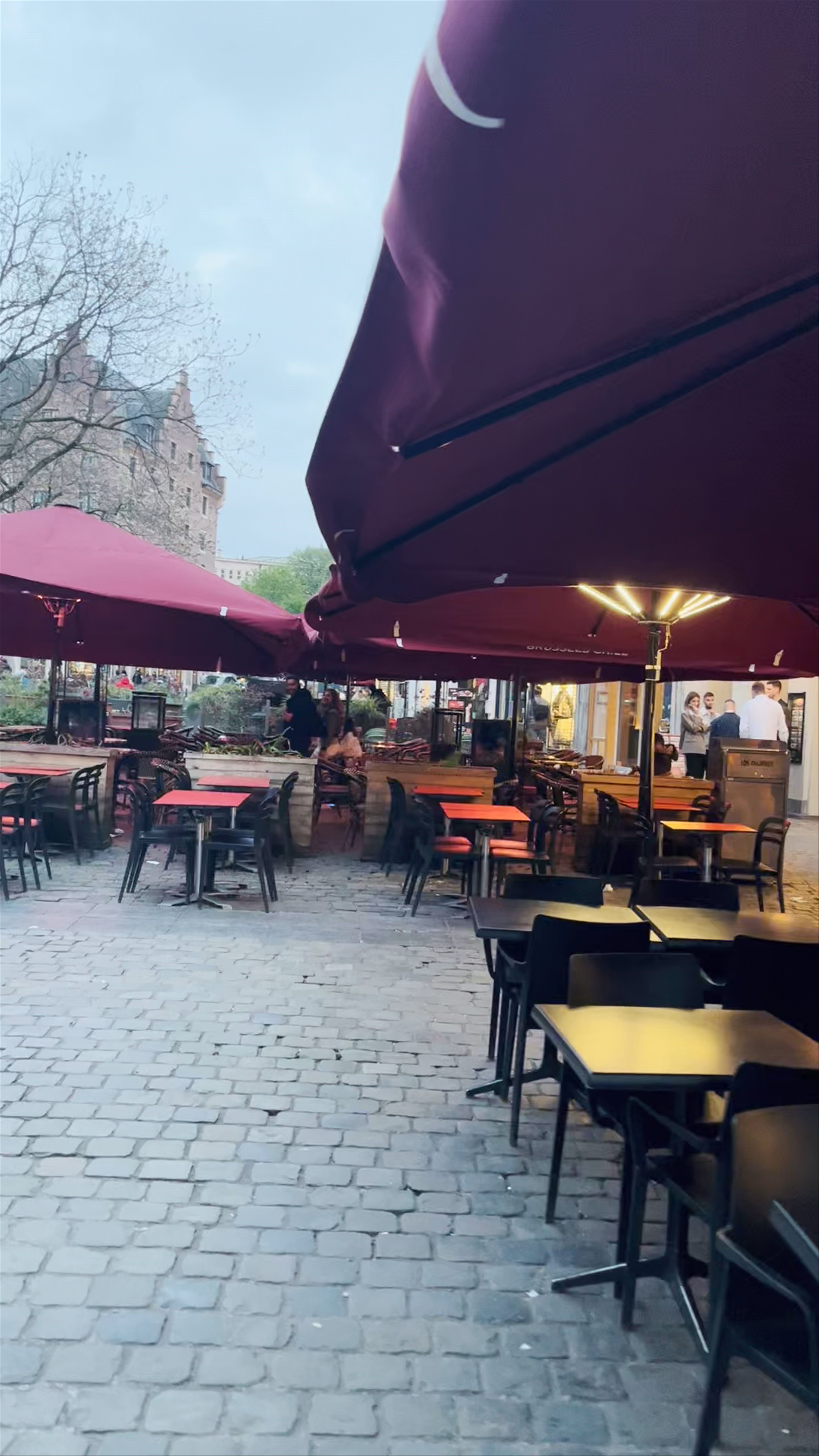 Evening Ambiance at Galeries Royales Saint Hubert, Brussels