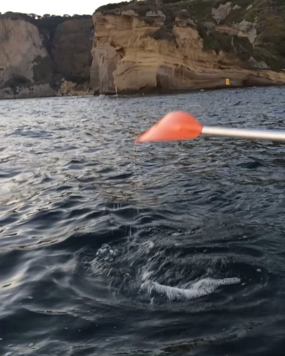 Kayak Napoli - Rafting/Kayaking Near Me - Naples, NA