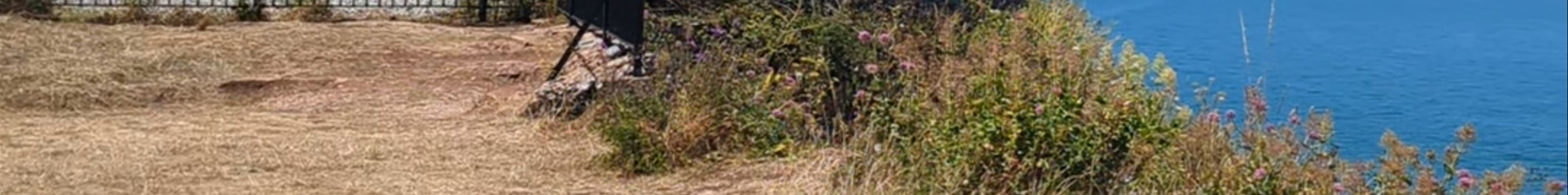 Tours & experiences in Torquay
