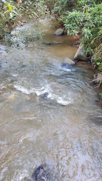 Photo of Kottekad Plantation 