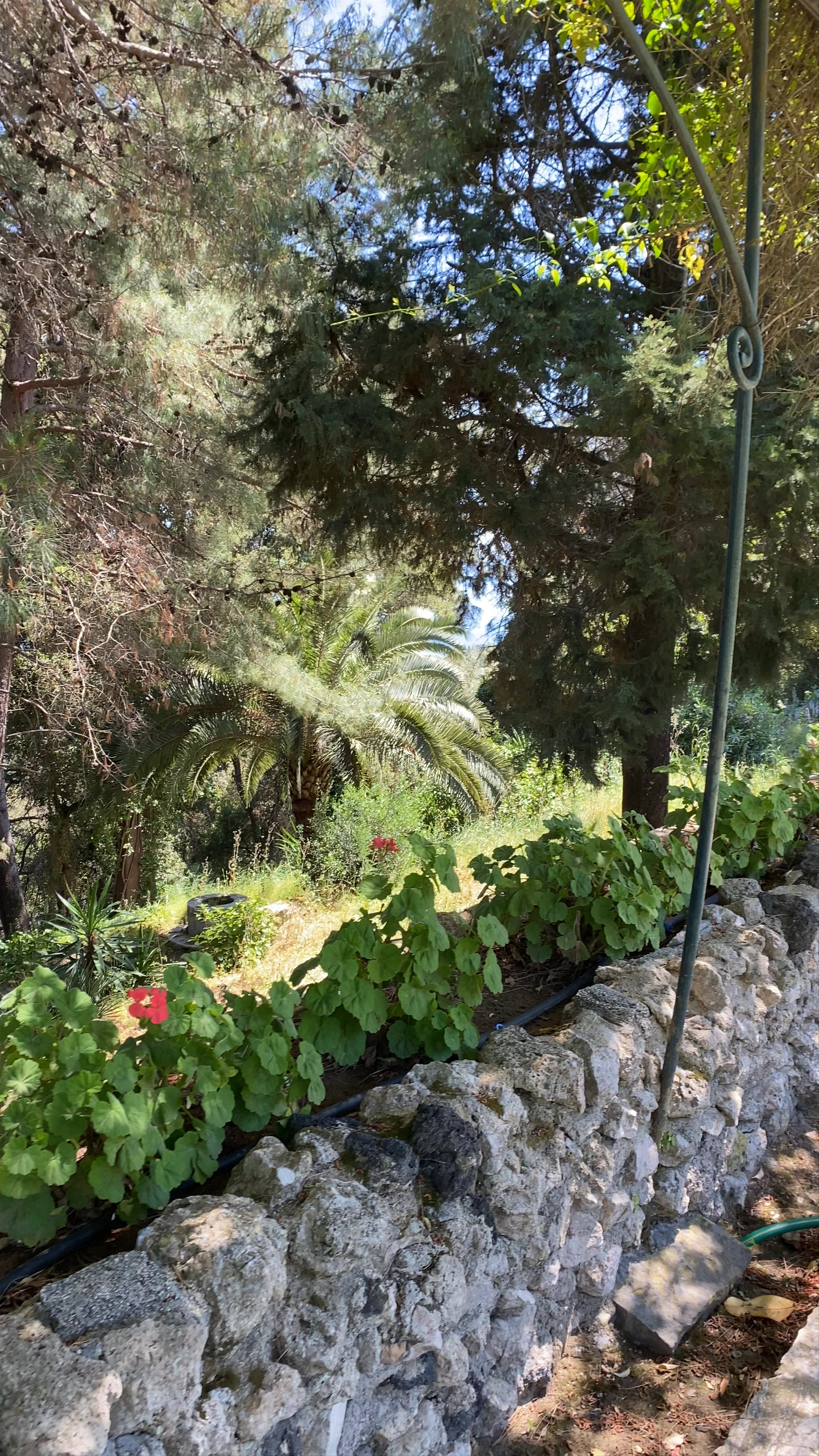 Achilleion Palace Garden