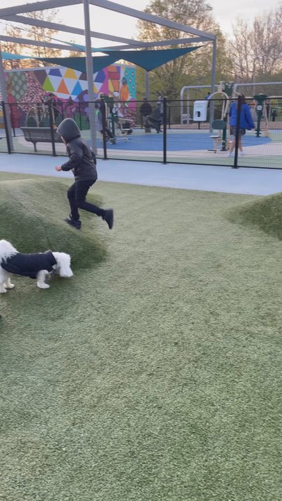 Dewey Local Park - Small dog area - Dog Parks Near Me - Silver Spring, Maryland