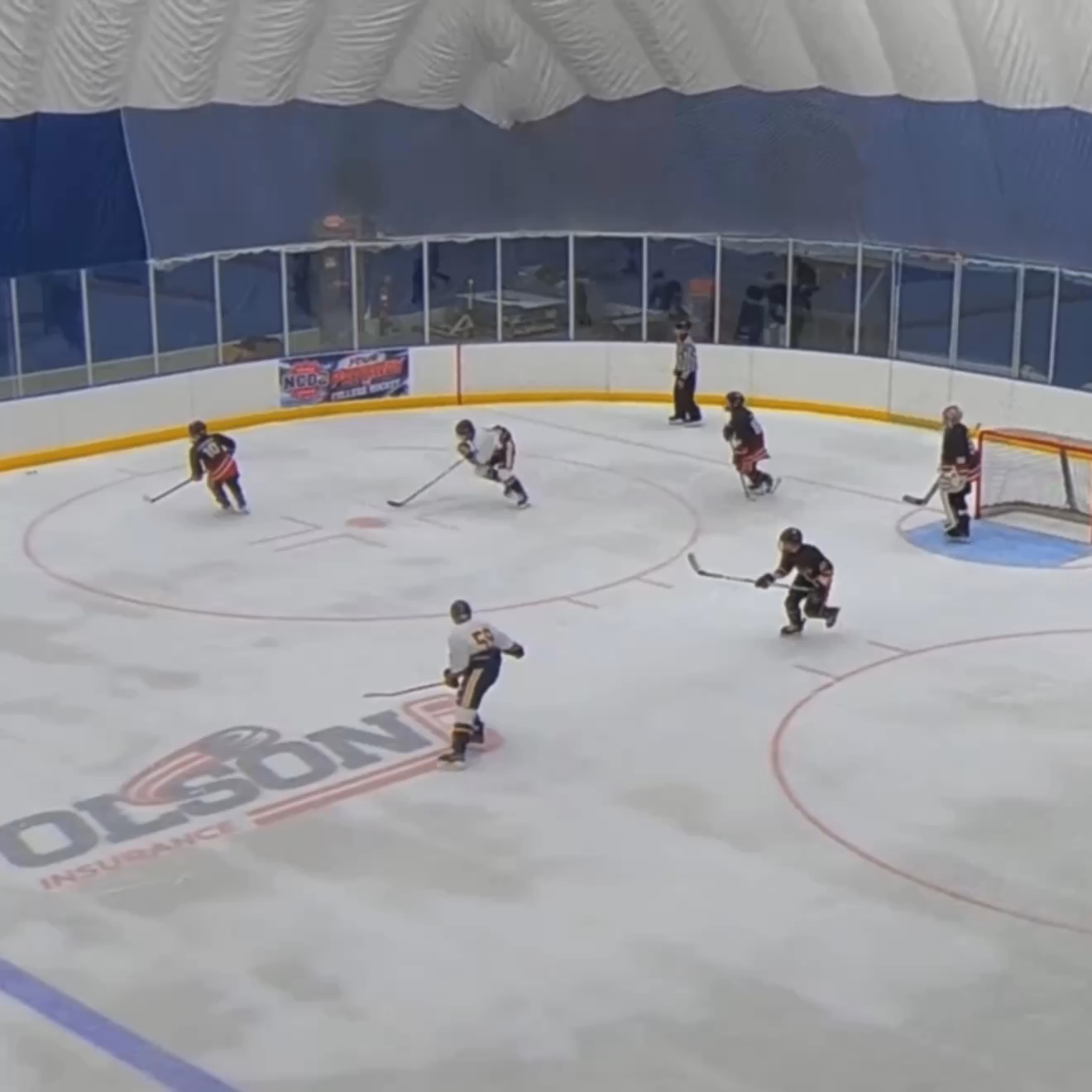 Austin Davenport's Game-Winning OT Play |  vs North Jersey Avalanche