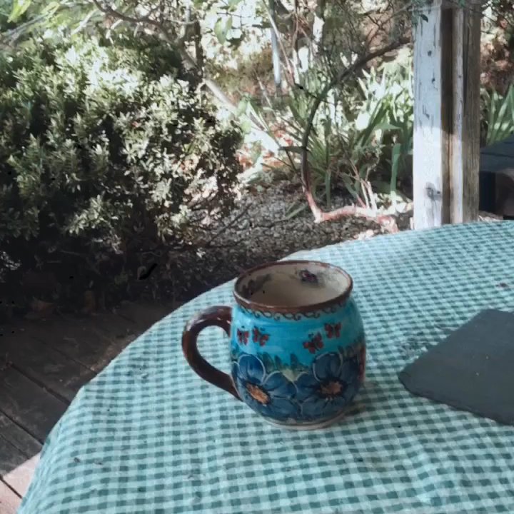 The Seasons Bed and Breakfast - Smelling jasmine flowers and coffee - Hotels Near Me - Placerville, California