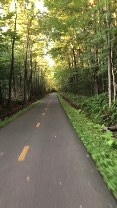 Norwottuck Rail Trail - Biking between miles 6 and 7. - Parks Near Me - Northampton, Massachusetts