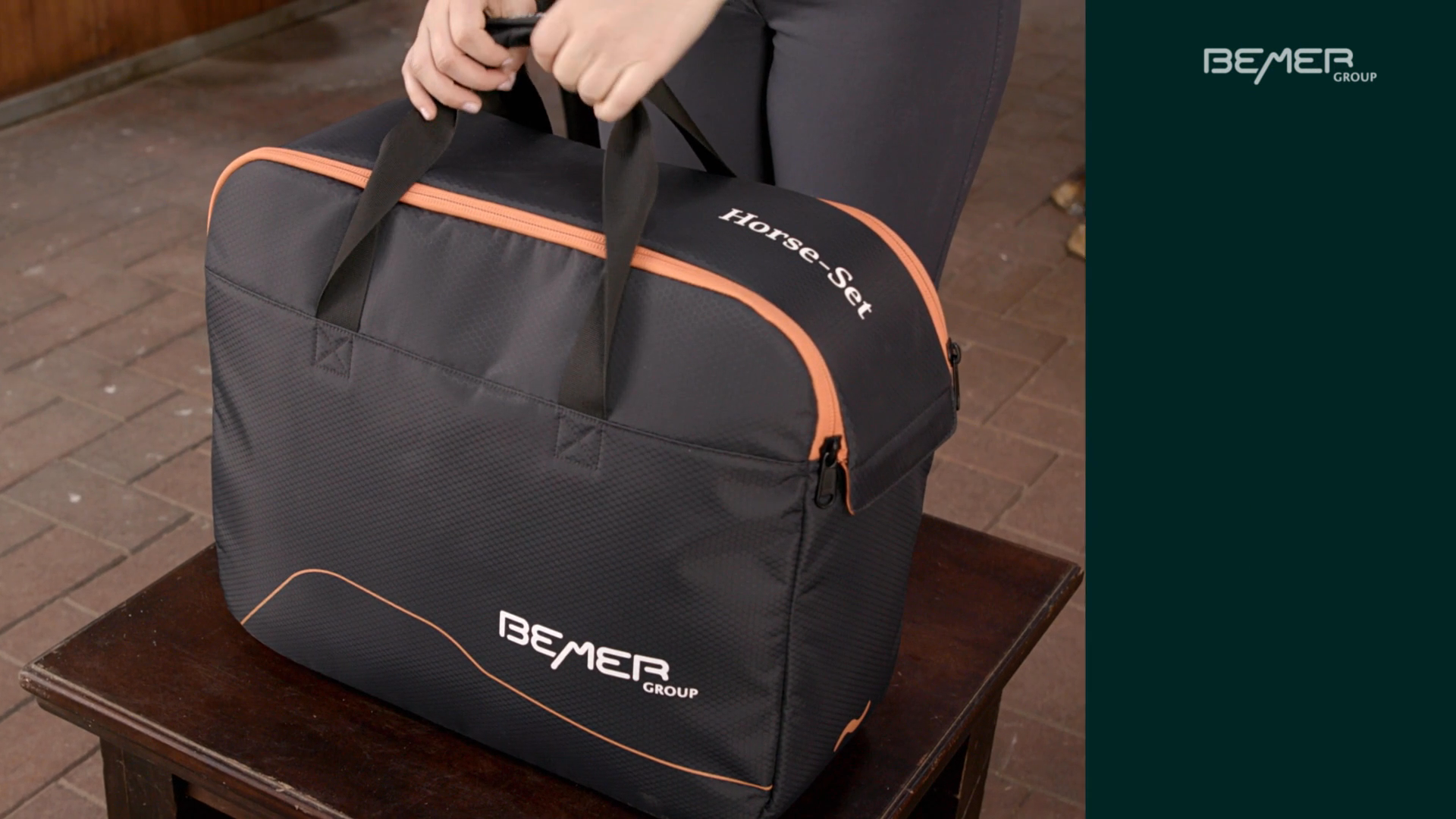 BEMER HorseSet applicators and accessories that work as a team BEMER