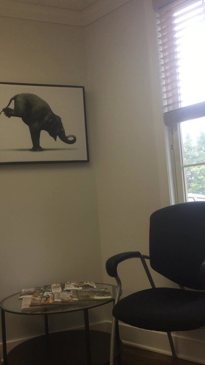 Movement Chiropractic - The Waiting Area - Chiropractors Near Me - Fairfax, Virginia