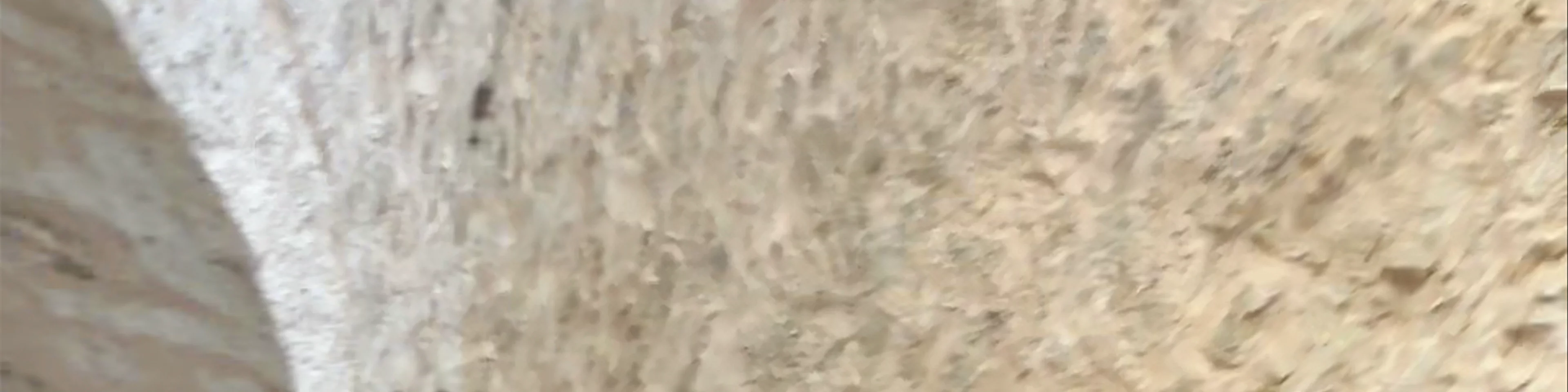 Tunel