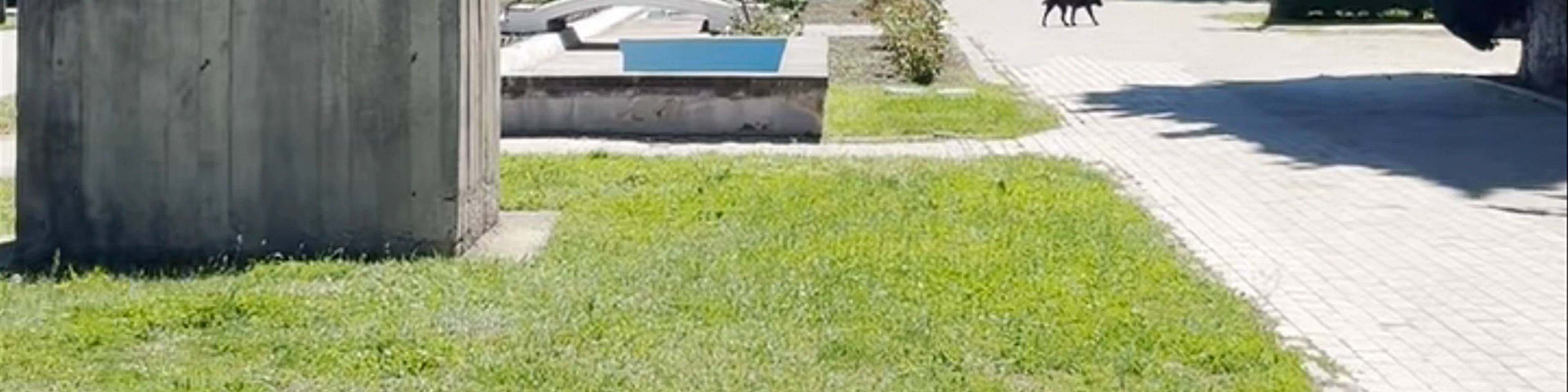Stalin Park
