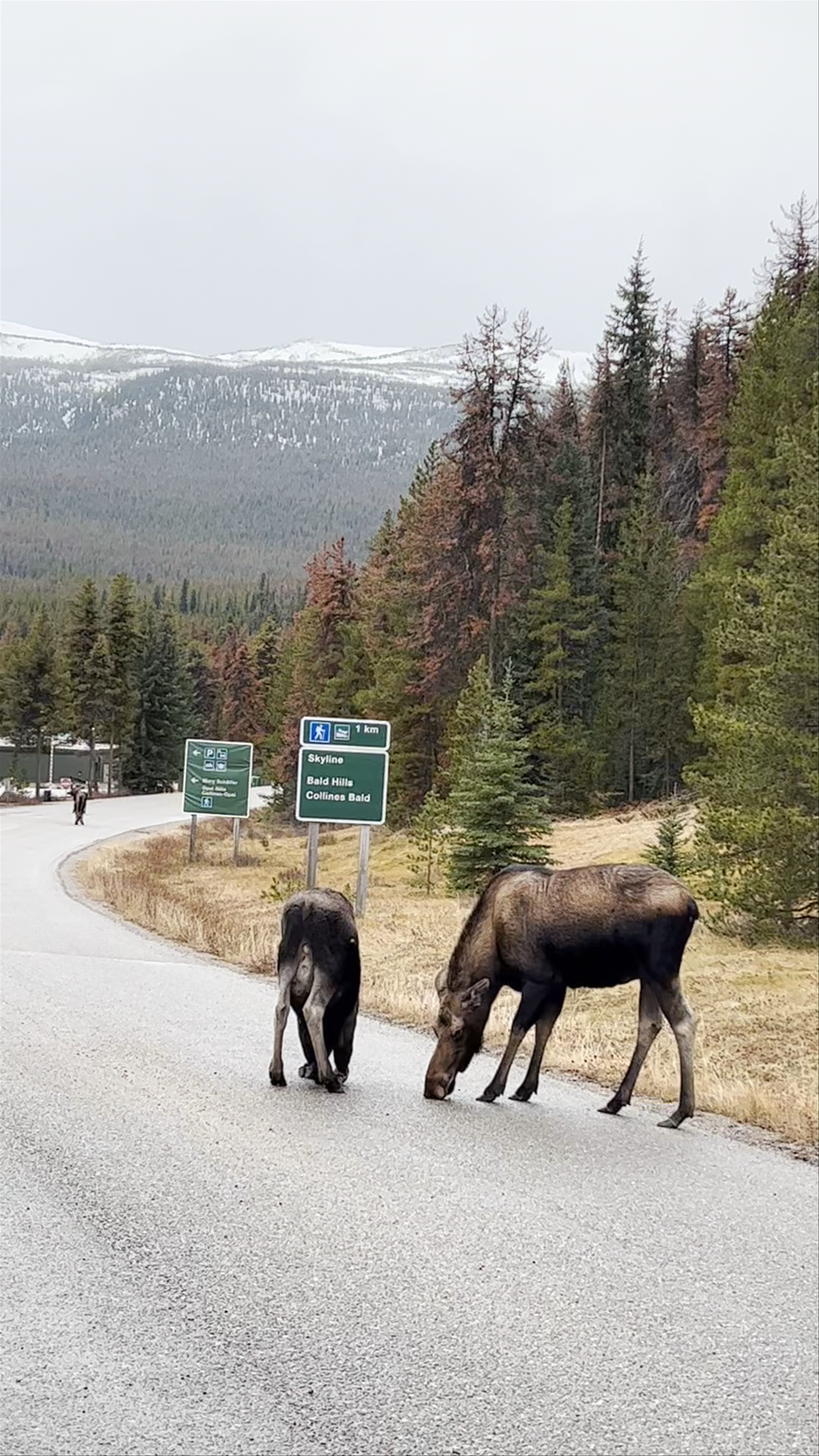 Banff National Park
