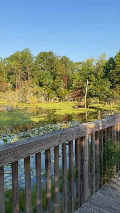 Restoration Park - Taken from the long bridge going across the park - Parks Near Me - West Monroe, Louisiana