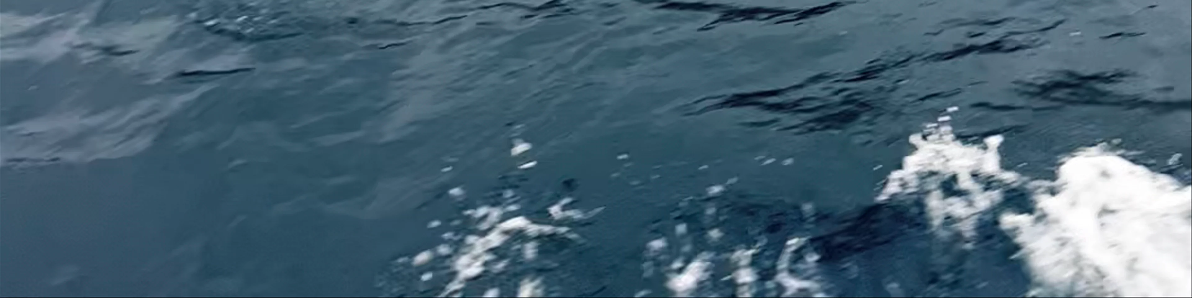 Dubrovnik Boat Tours - Boats: BOBARA