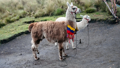 Quelle putain de journée de merde !