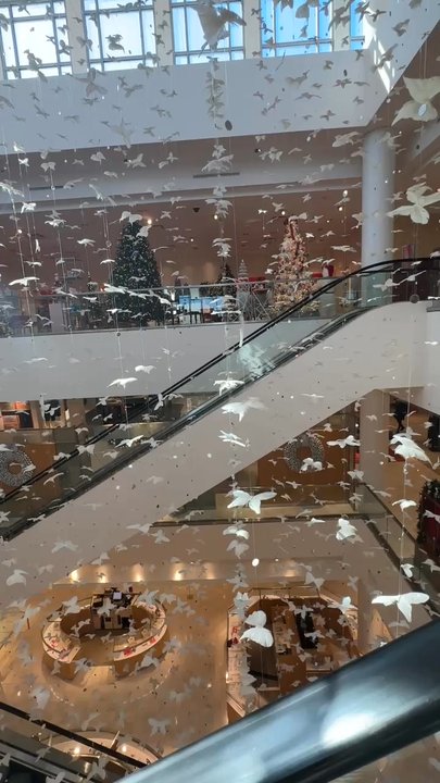 Neiman Marcus - Shoe Stores Near Me - Plano, Texas