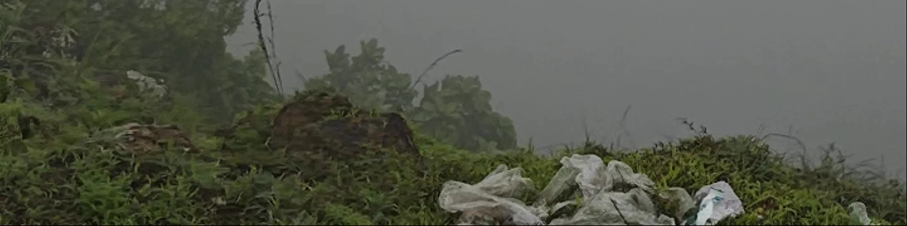 Parunthumpara