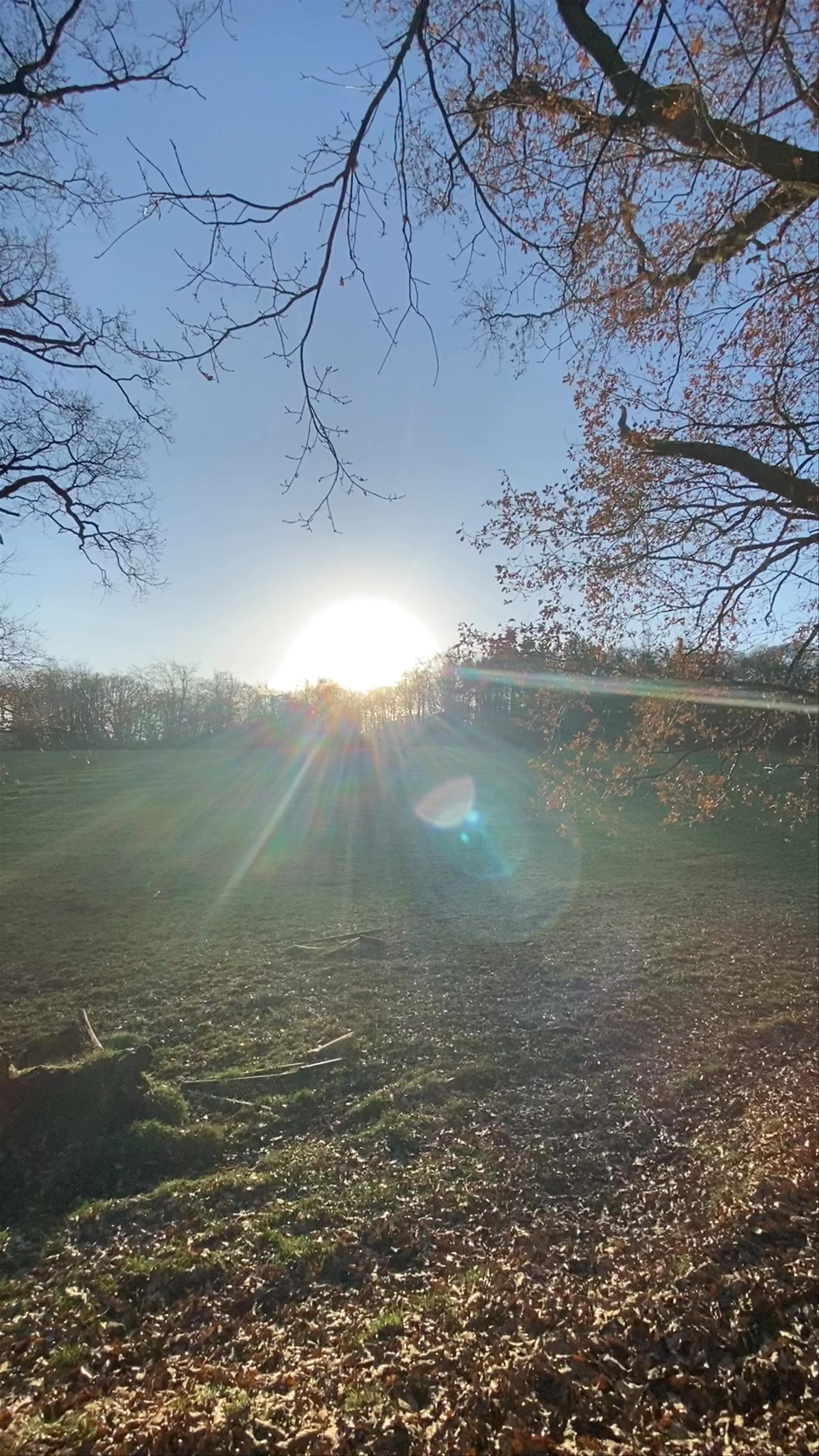 Pollok Country Park