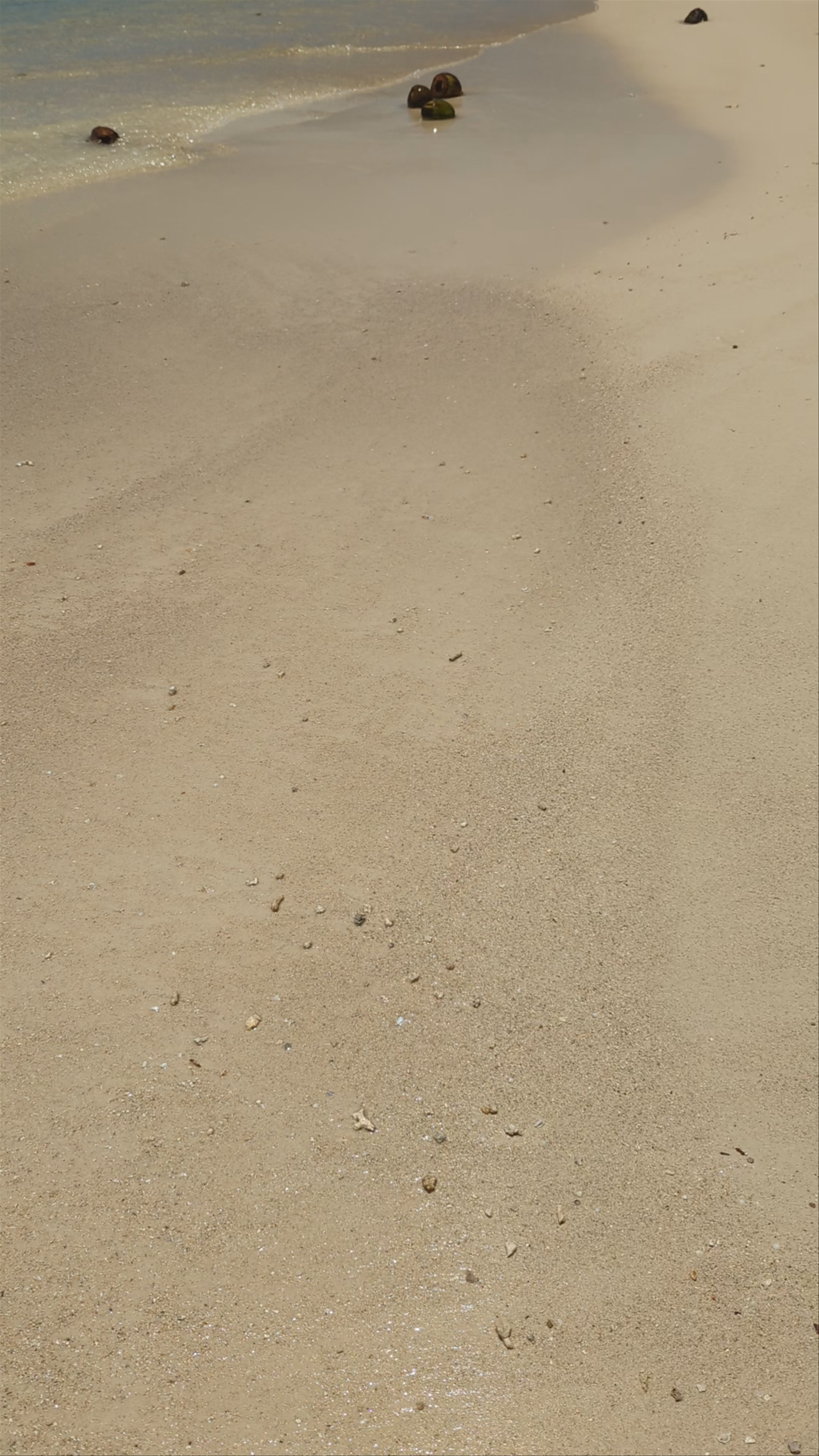 Public Beach Ta'ahiamanu