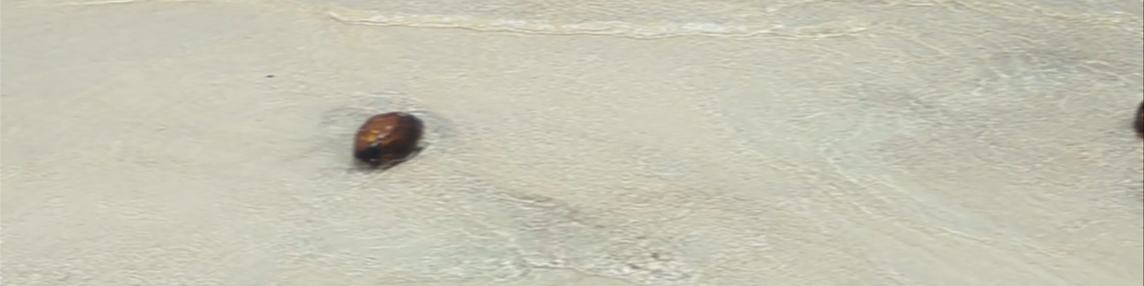 Public Beach Ta'ahiamanu
