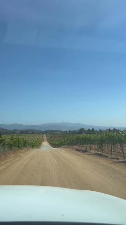 Reyes Winery - Wineries Near Me - Santa Clarita, California