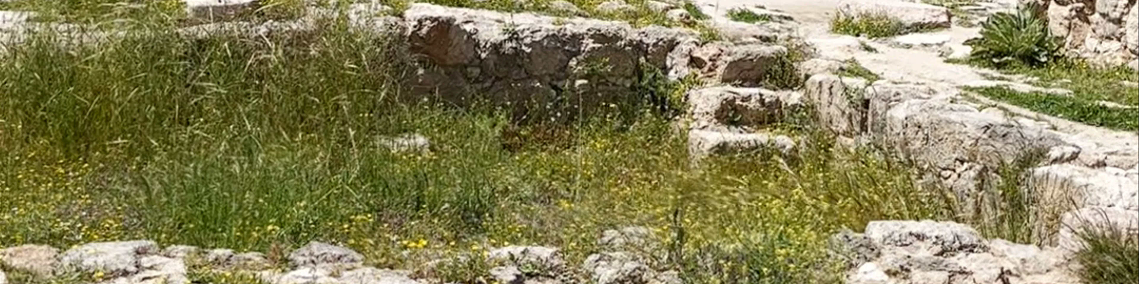 Temple of Artemis