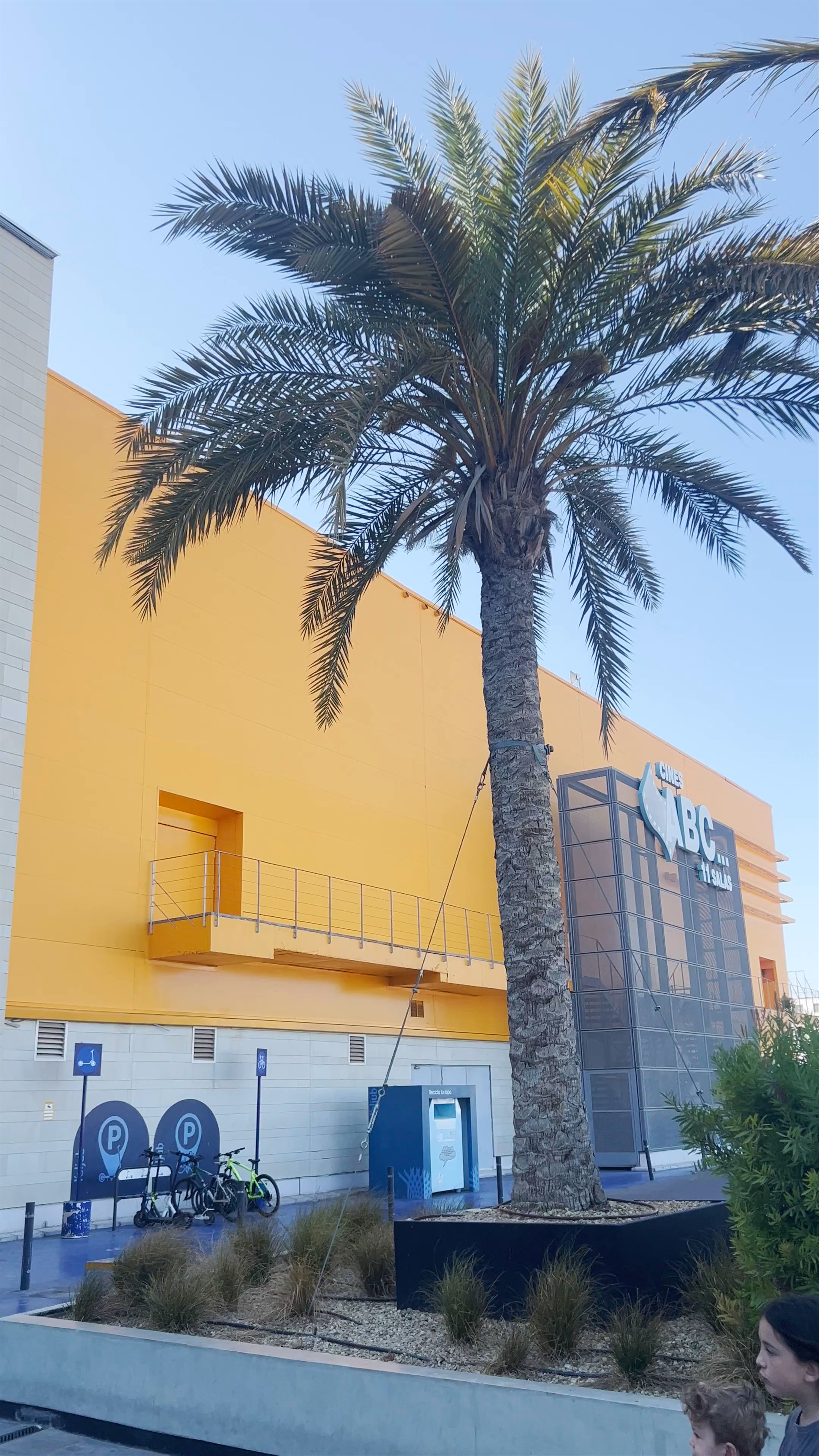 Centre Comercial L'Aljub: Vibrant Shopping and Leisure in Elche
