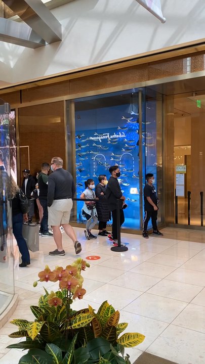 Louis Vuitton - Leather Goods Near Me - Costa Mesa, California