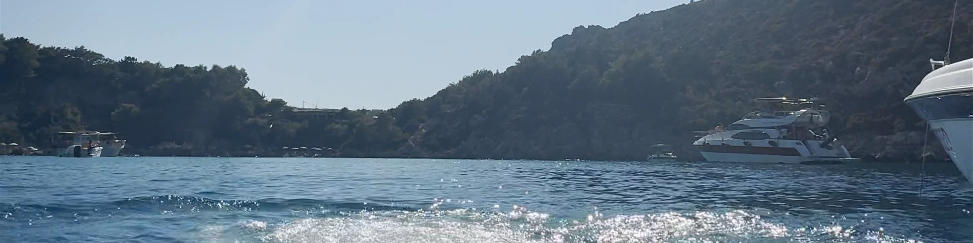 Anthony Quinn Bay